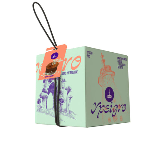 Fiasconaro Panettone Ypsigro 750gr
